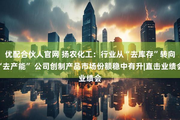 优配合伙人官网 扬农化工：行业从“去库存”转向“去产能” 公司创制产品市场份额稳中有升|直击业绩会
