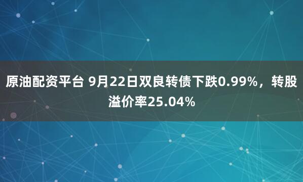 原油配资平台 9月22日双良转债下跌0.99%，转股溢价率25.04%