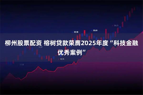 柳州股票配资 榕树贷款荣膺2025年度“科技金融优秀案例”