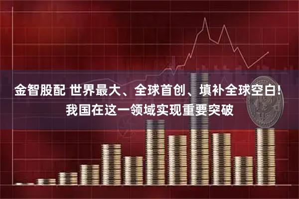 金智股配 世界最大、全球首创、填补全球空白! 我国在这一领域实现重要突破