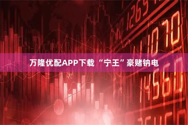 万隆优配APP下载 “宁王”豪赌钠电